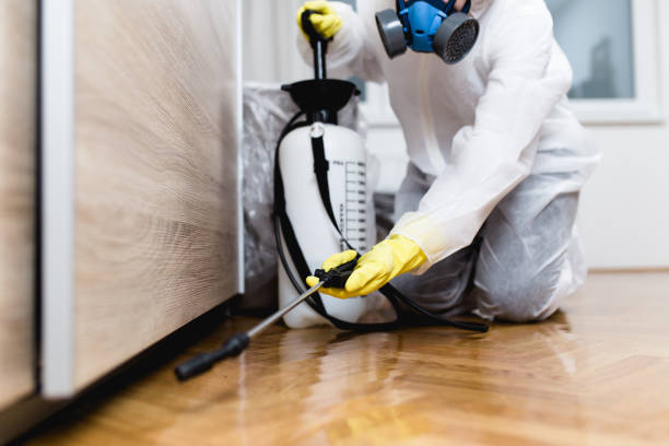 Wildlife Control Services in Somers, WI