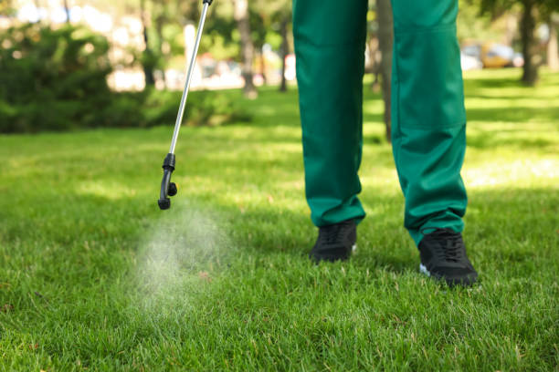 Best Local Pest Control Services  in Somers, WI