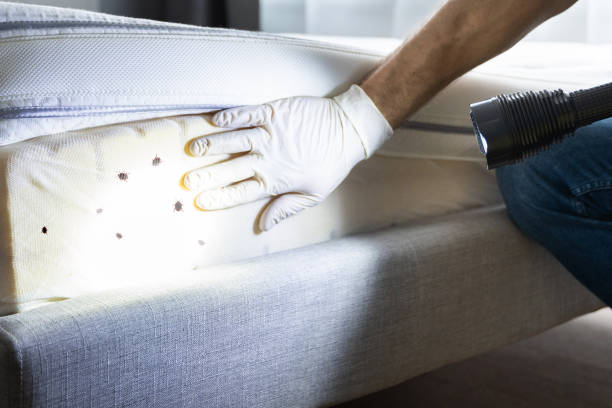 Best Pest Inspection Near Me  in Somers, WI